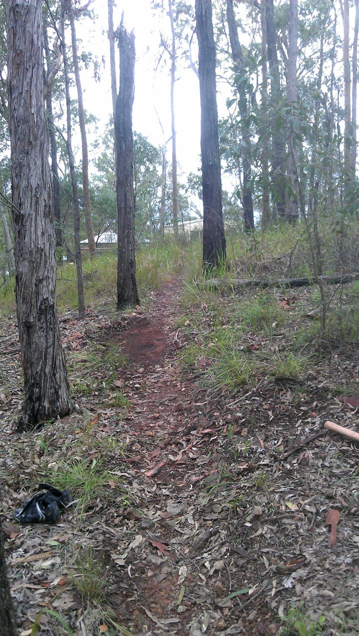 Upper Stump After